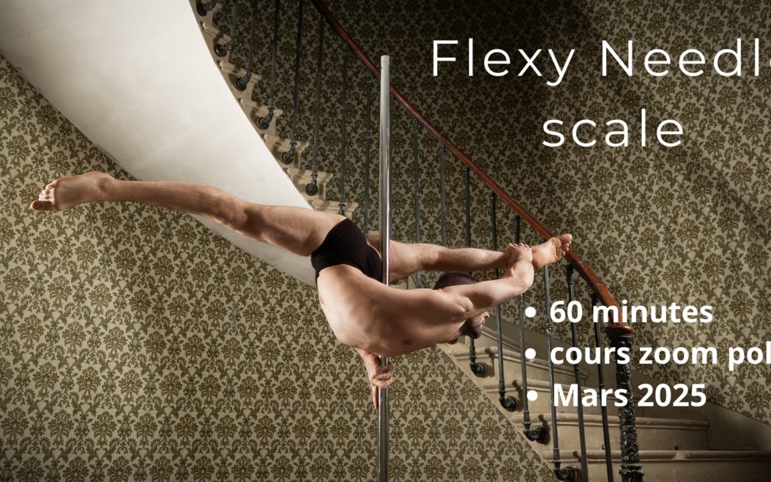 cours en ligne, needle 23 fevrier 2025