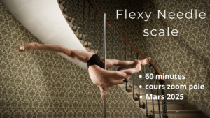 cours en ligne, needle 23 fevrier 2025