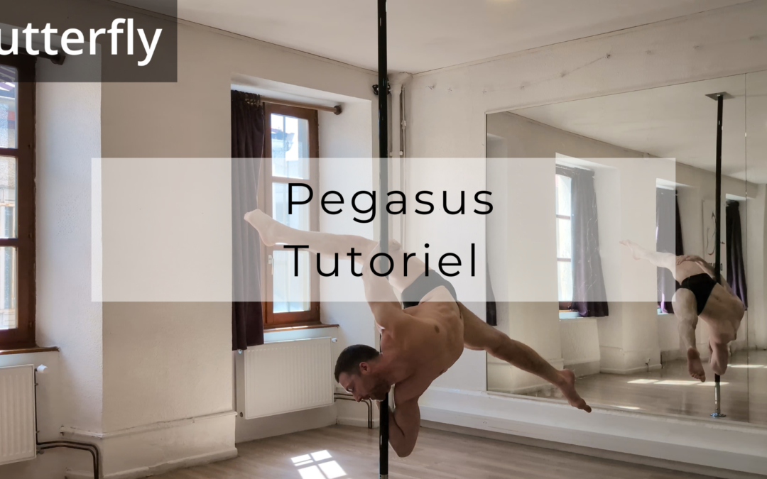 Pegasus