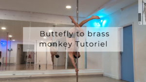 Butterfly to brass monkey