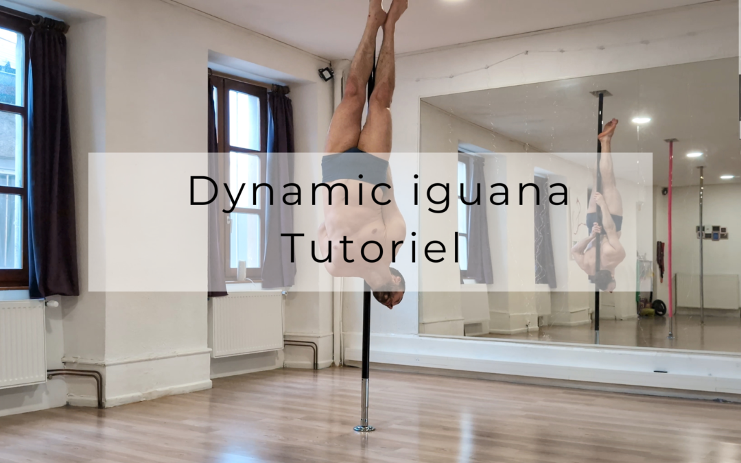 Dynamic iguana entry