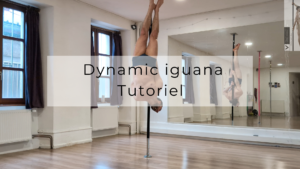 Dynamic iguana entry