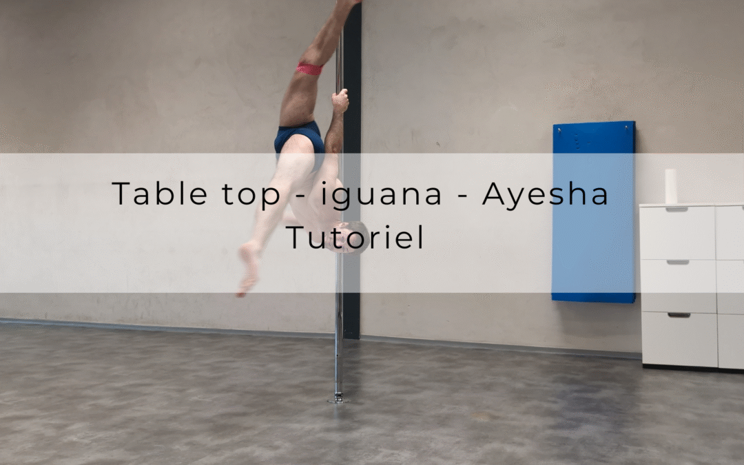 Table top – iguana – Ayesha