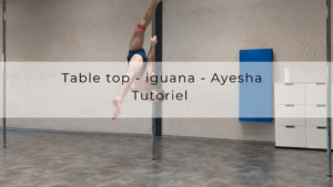 Table top – iguana – Ayesha