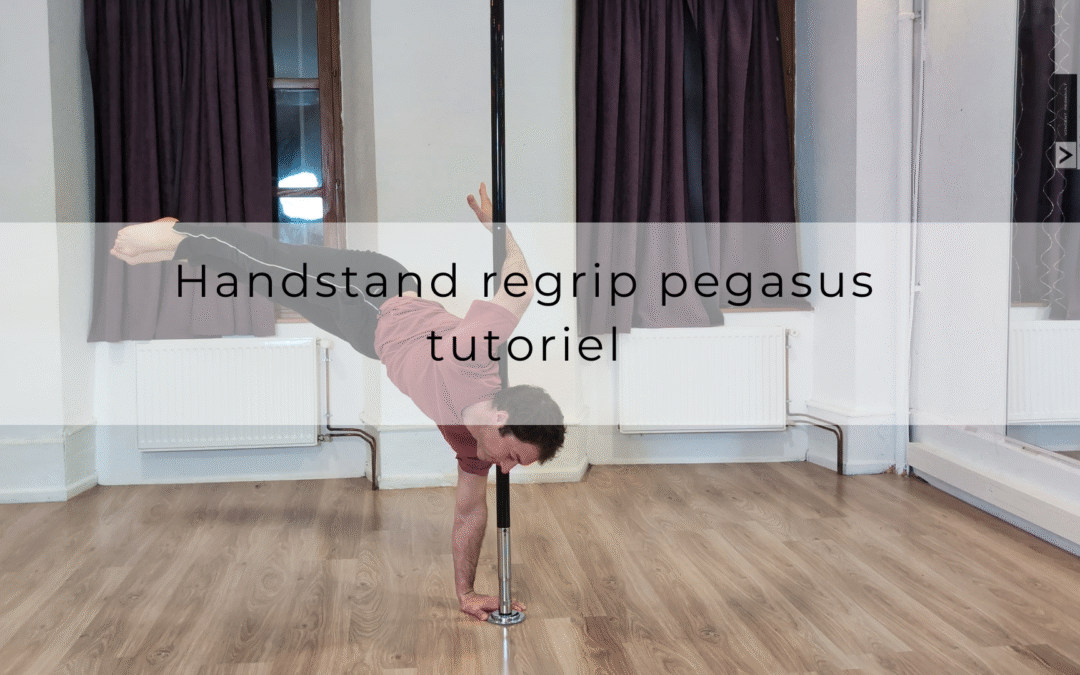Handstand regrip pegasus