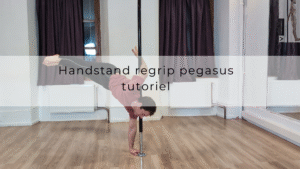 Handstand regrip pegasus