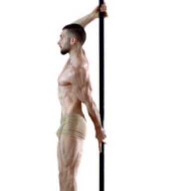 Photo de Profil de Vincent_regnault